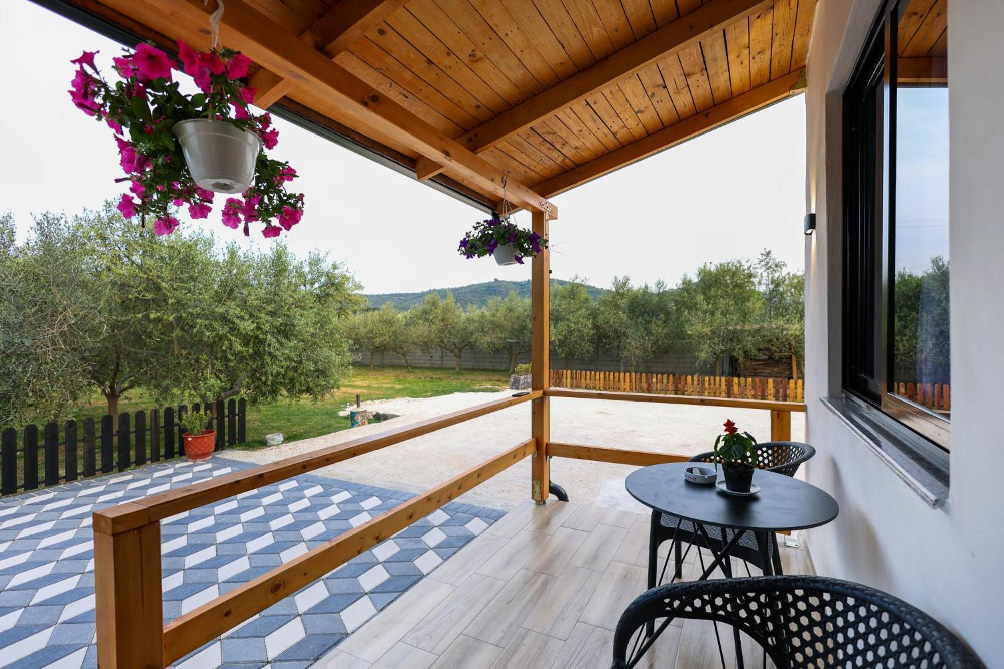 Olive Oasis Studio Berat Eksteriør billede